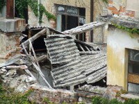 /album/immagini-dellamianto-2013-premere-esc-per-foto-piccola-/dscf4339-jpg/